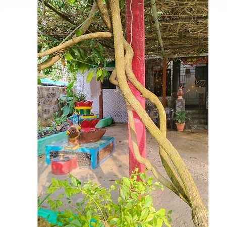 Cockerel Homestay - Traditional Beach Village - Goa Canacona Zewnętrze zdjęcie