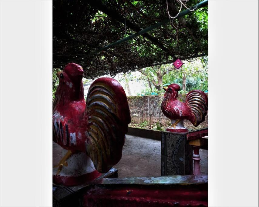 Cockerel Homestay - Traditional Beach Village - Goa Canacona Zewnętrze zdjęcie