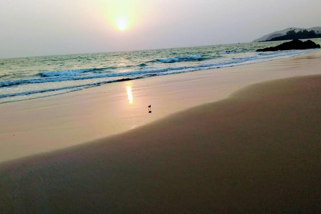 Cockerel Homestay - Traditional Beach Village - Goa Canacona Zewnętrze zdjęcie