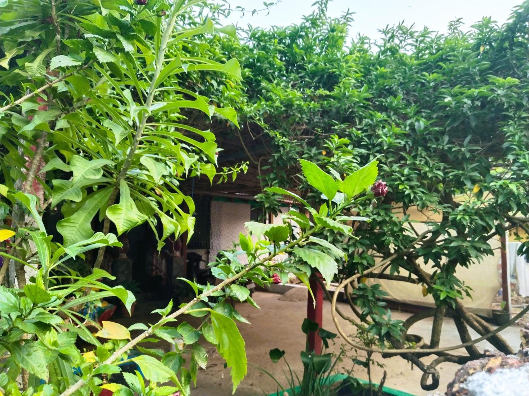 Cockerel Homestay - Traditional Beach Village - Goa Canacona Zewnętrze zdjęcie